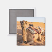 Kamel in der omanischen Wüste Magnet (Vorderseite/Rückseite)