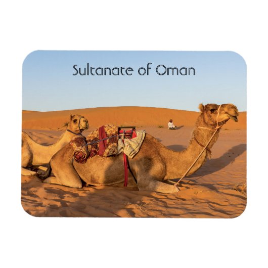 Kamel in der omanischen Wüste Magnet (Horizontal)