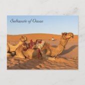 Kamel in der omanischen Wüste Postkarte (Vorderseite)
