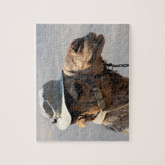 Kamel in einem Hut! Puzzle (Vertikal)