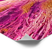 Kamel in rosa Wüste Poster (Ecke)