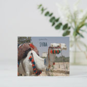Kamel in Syrien Postkarte (Stehend Vorderseite)