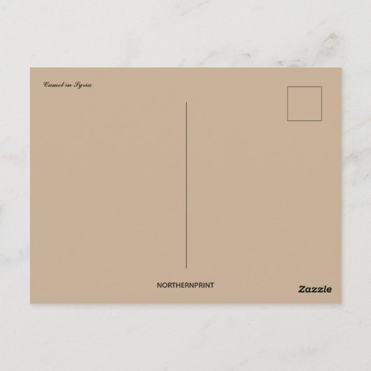 Kamel in Syrien Postkarte (Rückseite)