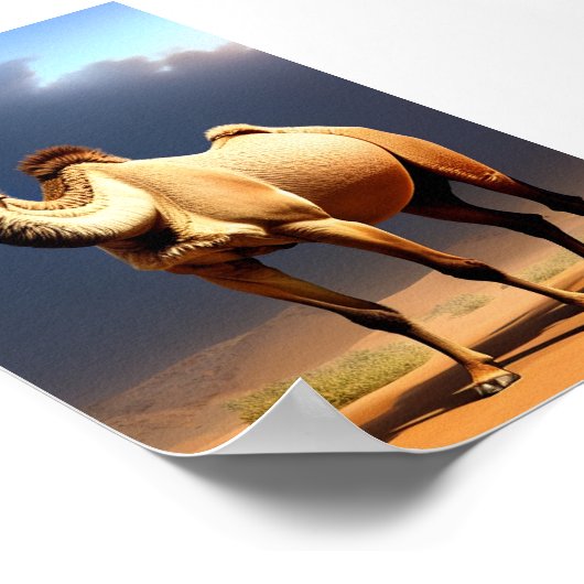 Kamel in Wüstenposter Poster (Ecke)