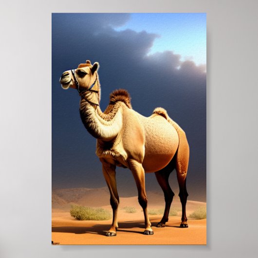 Kamel in Wüstenposter Poster (Vorne)