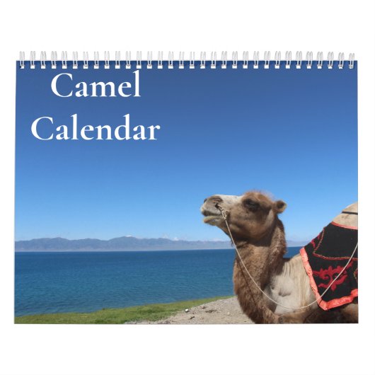 Kamel-Kalender 2027 Kalender (Titelbild)