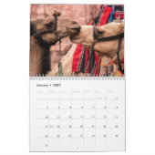 Kamel-Kalender 2027 Kalender (Jan 2027)