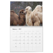 Kamel-Kalender 2027 Kalender (Feb 2027)