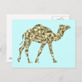 Kamel Kamel Postkarte (Vorne/Hinten)