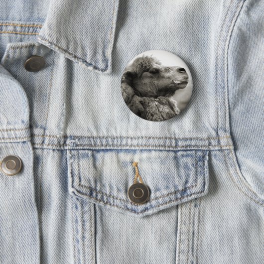 Kamel-Knopf Button (Beispiel)