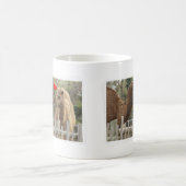 Kamel LIEBE - KEINE GRENZEN Kaffeetasse (Mittel)