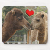 Kamel LIEBE - KEINE GRENZEN Mousepad (Vorne)