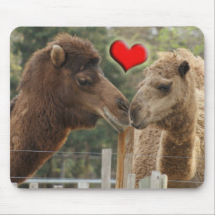 Kamel LIEBE - KEINE GRENZEN Mousepad