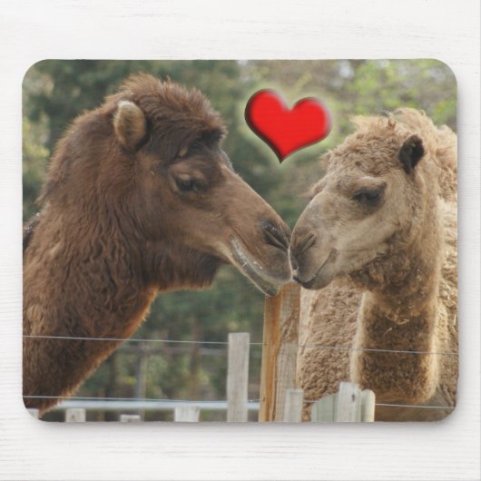 Kamel LIEBE - KEINE GRENZEN Mousepad (Vorne)