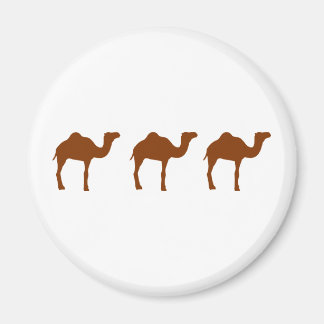 Kamel Magnet