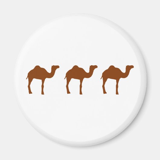 Kamel Magnet (Vorne)