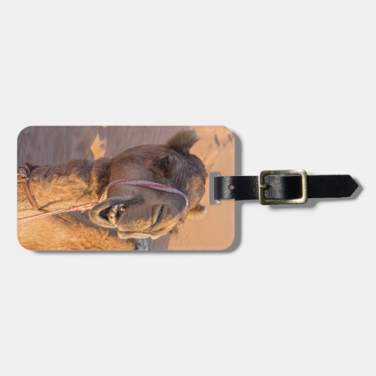 Kamel mit lustigem Gesichtsausdruck - Oman Gepäckanhänger (Vorderseite horizontal)