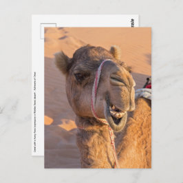 Kamel mit lustigem Gesichtsausdruck - Oman Postkarte