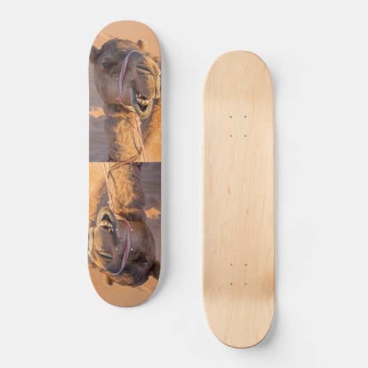 Kamel mit lustigem Gesichtsausdruck - Oman Skateboard (Vorderseite)