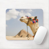 Kamel mit Pyramids Gizeh, Ägypten Mousepad (Mit Mouse)