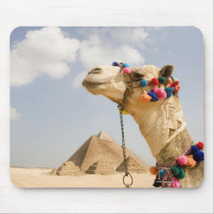 Kamel mit Pyramids Gizeh, Ägypten Mousepad