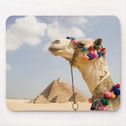 Kamel mit Pyramids Gizeh, Ägypten Mousepad (Vorne)
