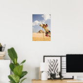 Kamel mit Pyramids Gizeh, Ägypten Poster (Heimbüro)