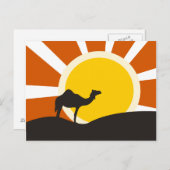 Kamel mit Sonnenuntergang Postkarte (Vorne/Hinten)