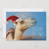 Kamel mit Weihnachtsmütze Feiertagskarte (Vorderseite)