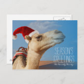 Kamel mit Weihnachtsmütze Feiertagspostkarte (Vorne/Hinten)