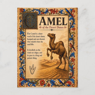 Kamel, mittelalterliche Bestiarien-Kunst Postkarte
