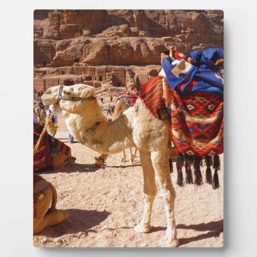 Kamel-Mittlere Osten-Natur-Tier-Schicksals-Geschen Fotoplatte (Vorderseite)