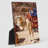 Kamel-Mittlere Osten-Natur-Tier-Schicksals-Geschen Fotoplatte (Seite)