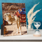 Kamel-Mittlere Osten-Natur-Tier-Schicksals-Geschen Fotoplatte (Seite)