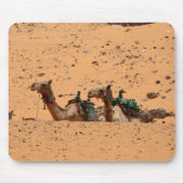 Kamel Mousepad (Vorne)