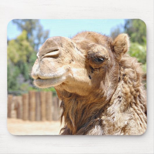 Kamel Mousepad (Vorne)