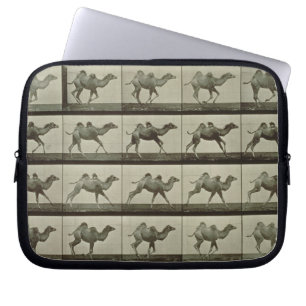 Kamel, Platte "von der Tierbewegung", 1887 (b/W.P. Laptopschutzhülle