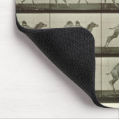 Kamel, Platte "von der Tierbewegung", 1887 (b/W.P. Mousepad (Ecke)