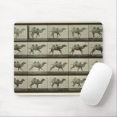 Kamel, Platte "von der Tierbewegung", 1887 (b/W.P. Mousepad (Mit Mouse)