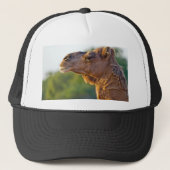 Kamel-Porträt Truckerkappe (Vorderseite)