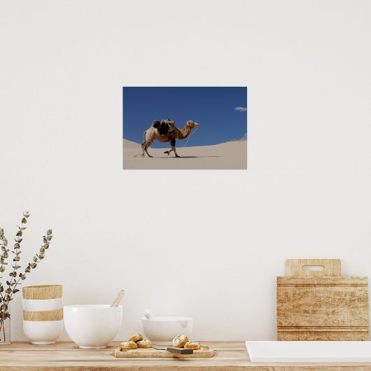Kamel Poster (Küche)