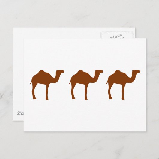 Kamel Postkarte (Vorne/Hinten)