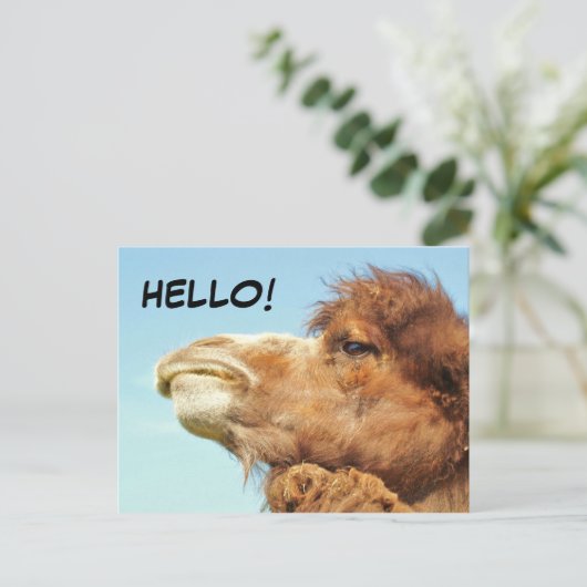 Kamel - Postkarte (Stehend Vorderseite)