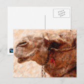 Kamel Postkarte (Vorne/Hinten)