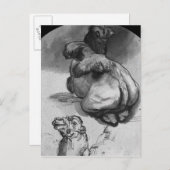 Kamel Postkarte (Vorne/Hinten)