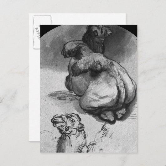 Kamel Postkarte (Vorne/Hinten)