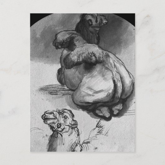 Kamel Postkarte (Vorderseite)