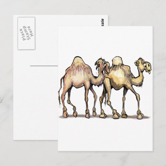 Kamel Postkarte (Vorne/Hinten)