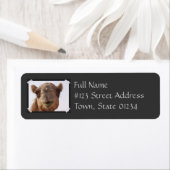 Kamel-Rückgabeadressen-Label (Insitu)