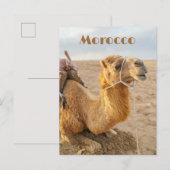 Kamel ruht, Marokko Reise Postkarte (Vorne/Hinten)